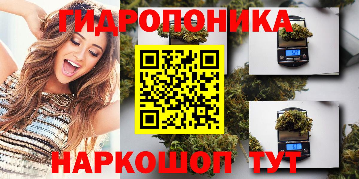 Бошки марихуана гибрид  Марихуана план  Елабуга  Вход с VPN 